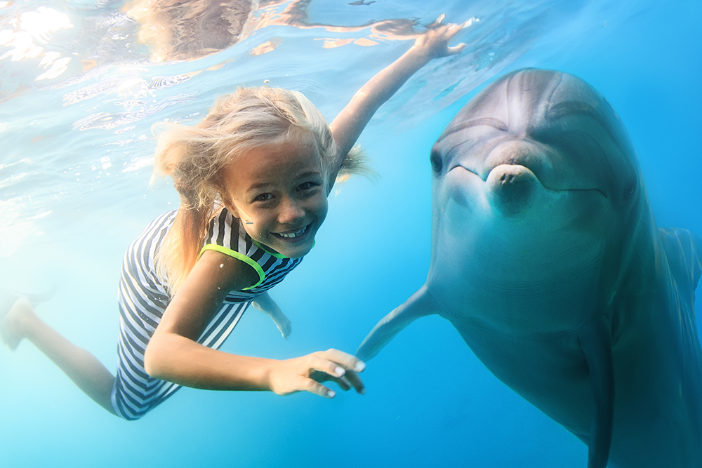 dolfijn met kind